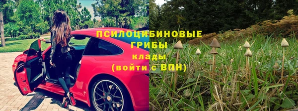 ешки Михайловск