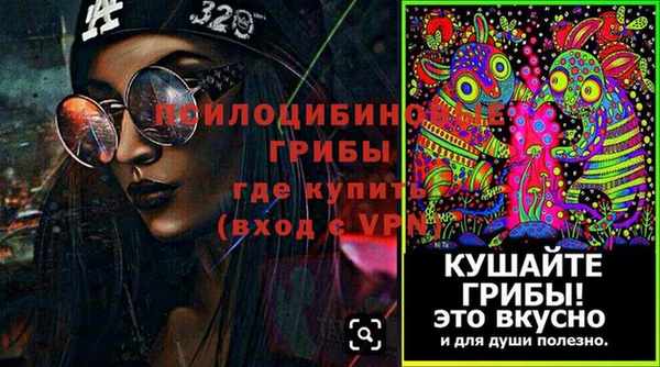 спайс Михайлов