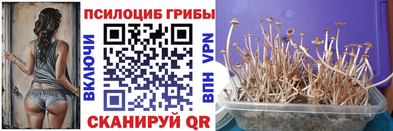Псилоцибиновые грибы ЛСД  сколько стоит  hydra онион  Красноперекопск 