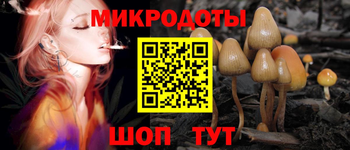 Псилоцибиновые грибы Cubensis  продажа наркотиков  Красноперекопск  Вход с VPN 